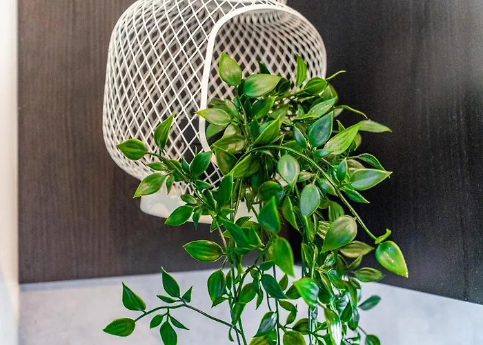 Scenic View 2br Flat In St Julian's Bay By Arco Collection 아파트 *